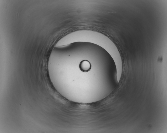 X0000112150233200909041111