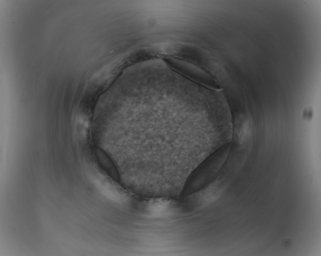 X0000112150235200909041111