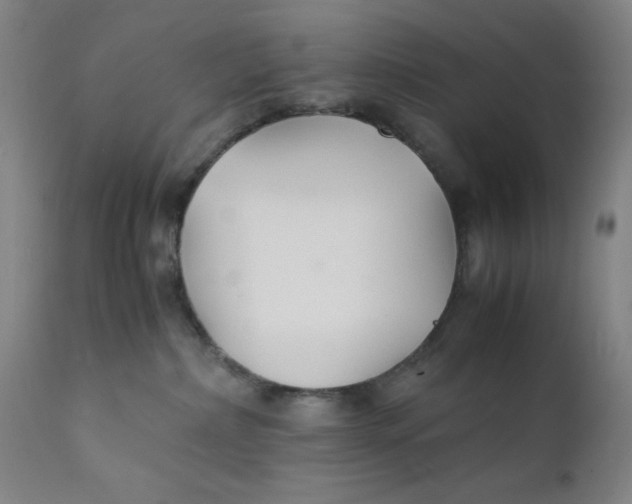 X0000112150236200909041111