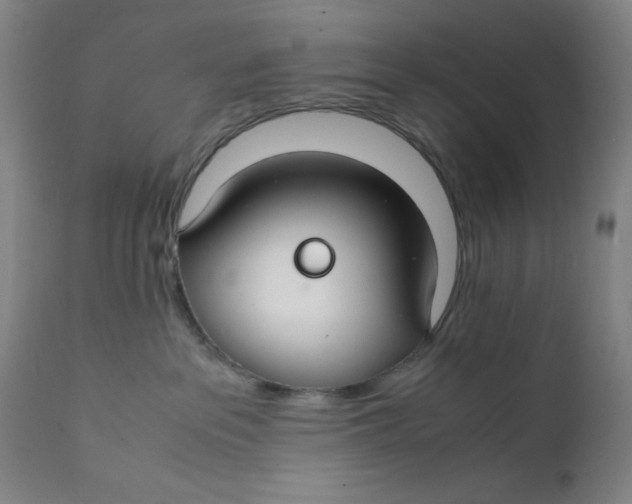 X0000112150237200909041111