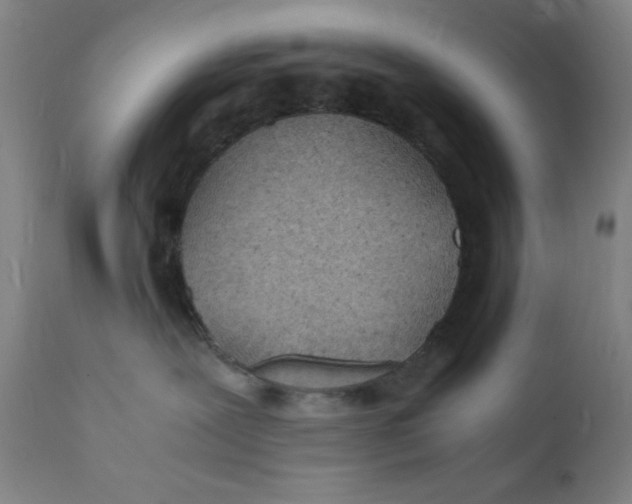 X0000112150239200909041111