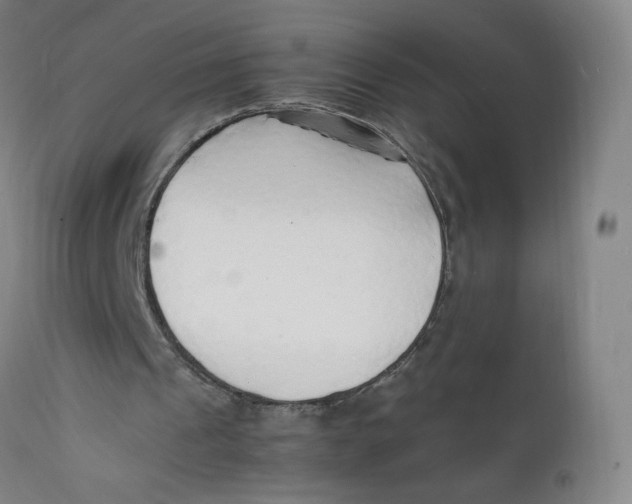 X0000112150241200909041110