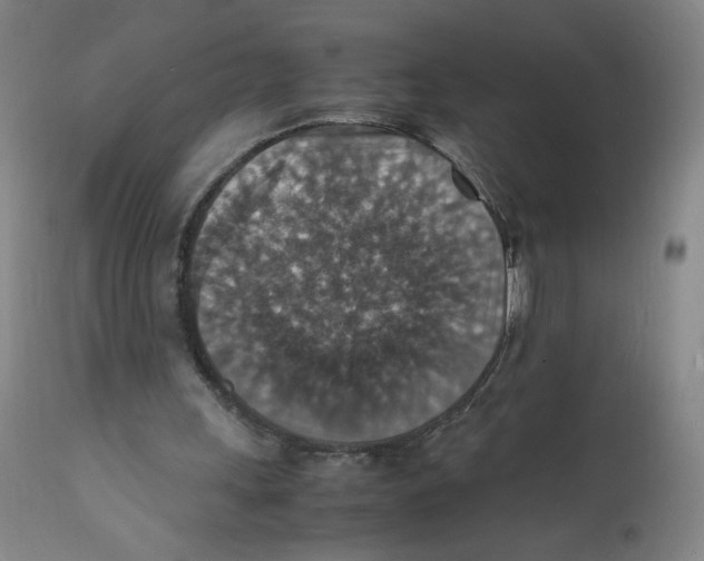 X0000112150243200909041110