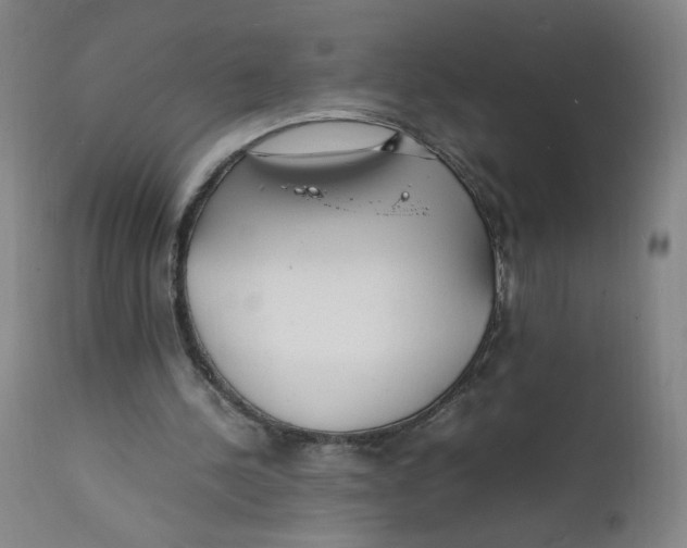 X0000112150244200909041110