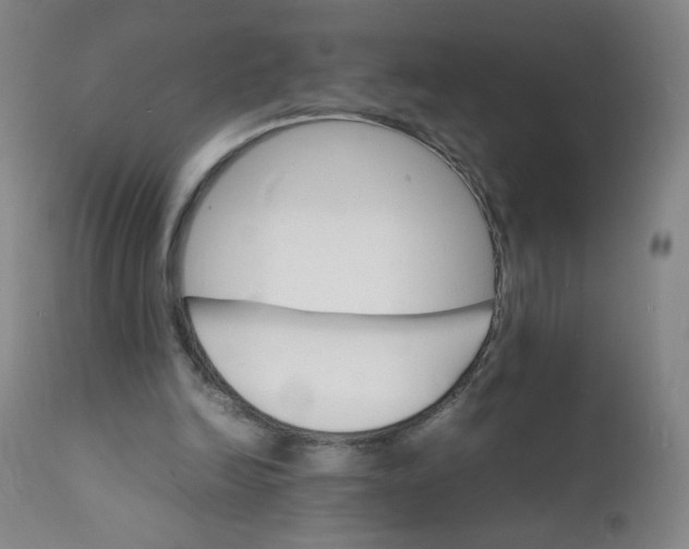 X0000112150246200909041110