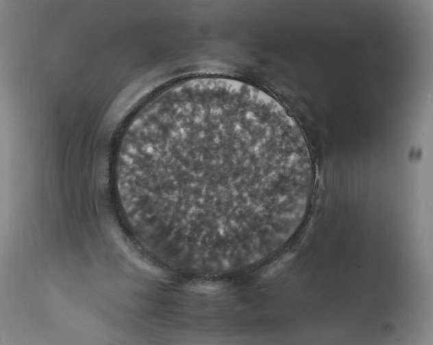 X0000112150247200909041110