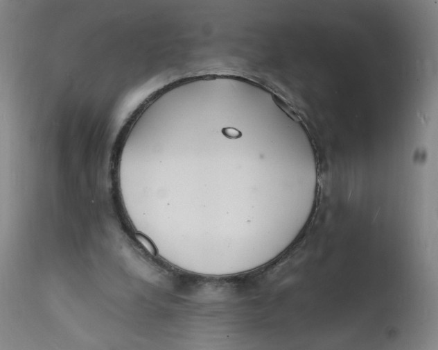 X0000112150248200909041110