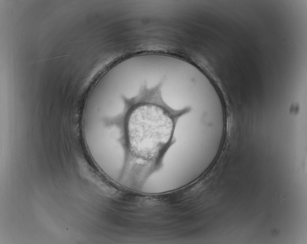 X0000112150249200909041110