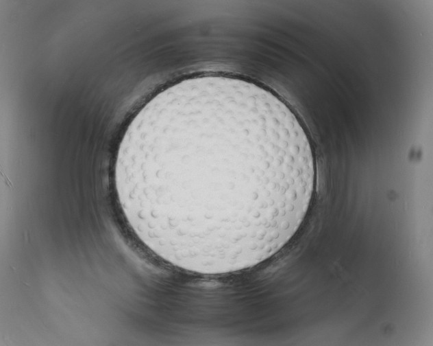 X0000112150253200909041110