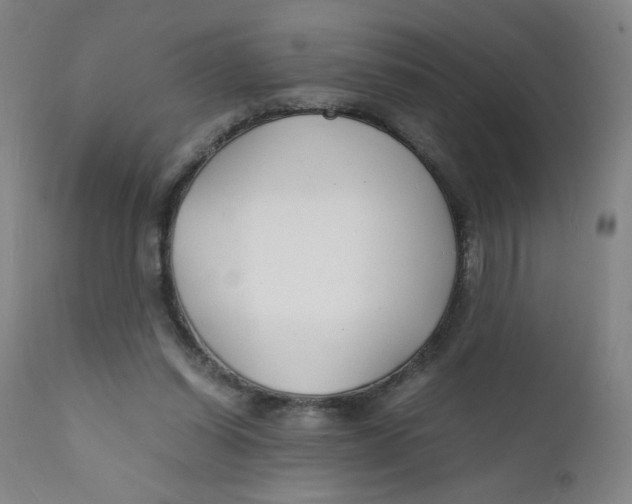 X0000112150254200909041110