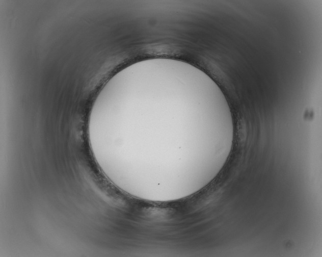 X0000112150255200909041110