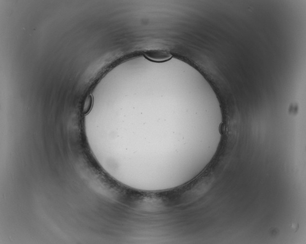 X0000112150256200909041110