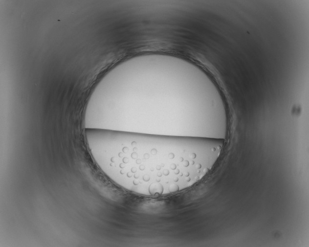 X0000112150257200909041110