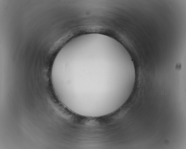 X0000112150258200909041110