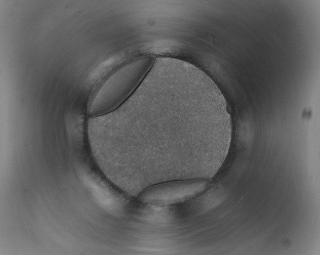 X0000112150260200909041110