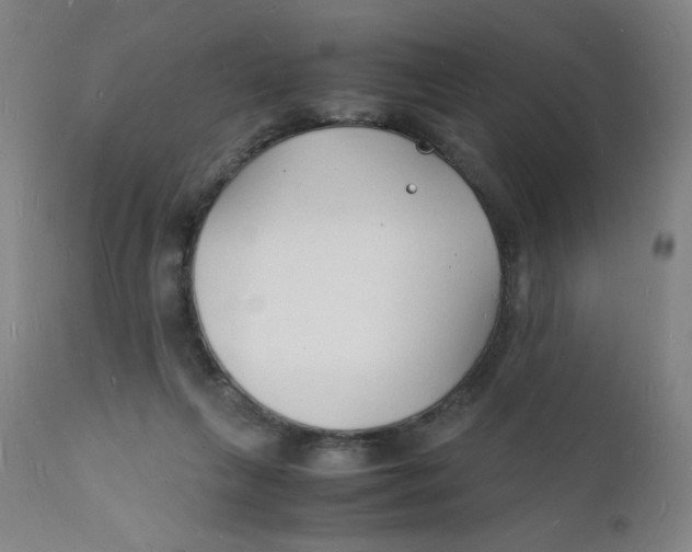 X0000112150263200909041110