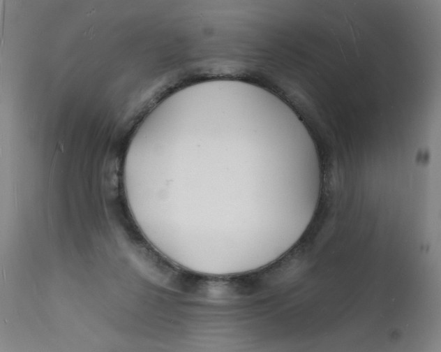 X0000112150264200909041110