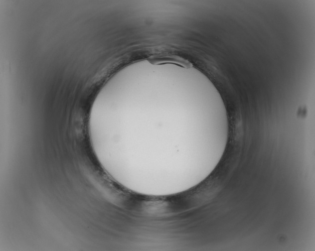 X0000112150266200909041110