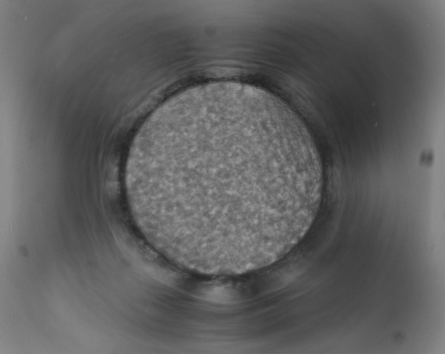 X0000112150267200909041110