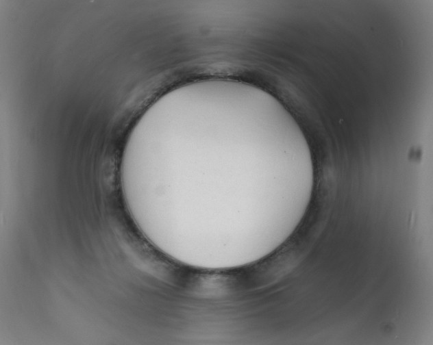 X0000112150268200909041110