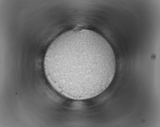 X0000112150269200909041110