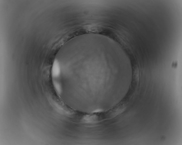 X0000112150271200909041110