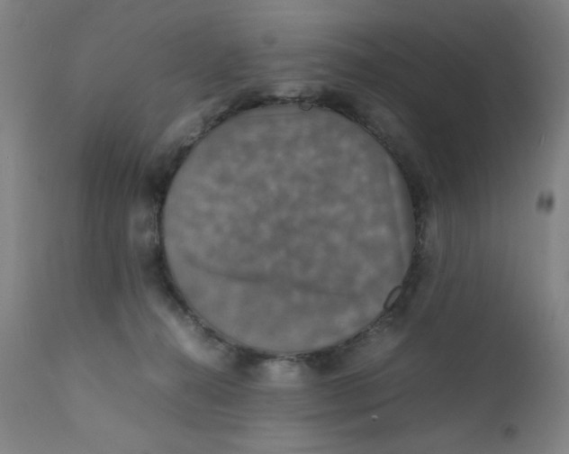 X0000112150272200909041110