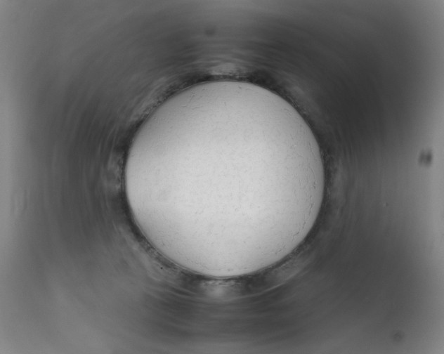 X0000112150273200909041110