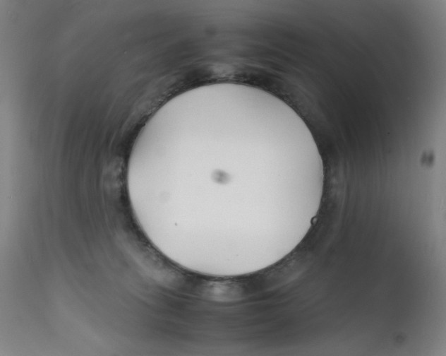 X0000112150275200909041110