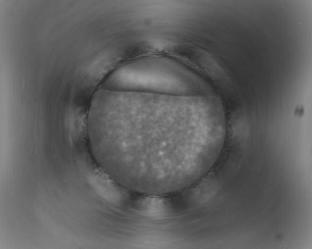 X0000112150276200909041110