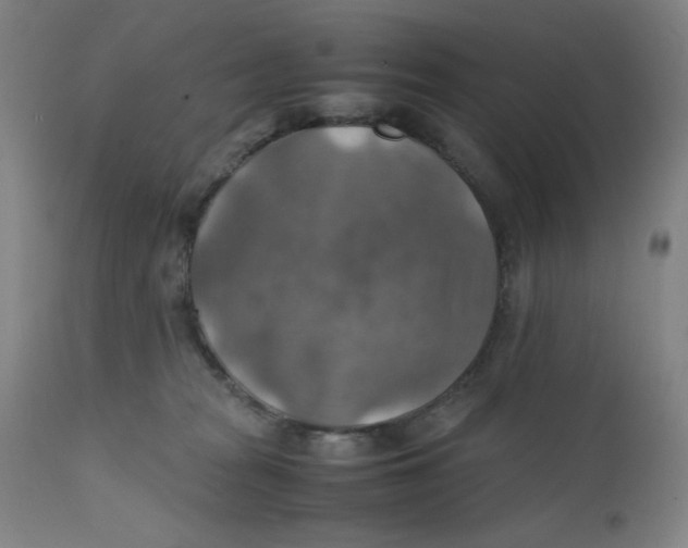 X0000112150277200909041110