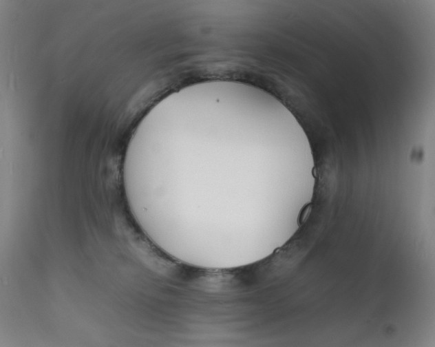 X0000112150278200909041110