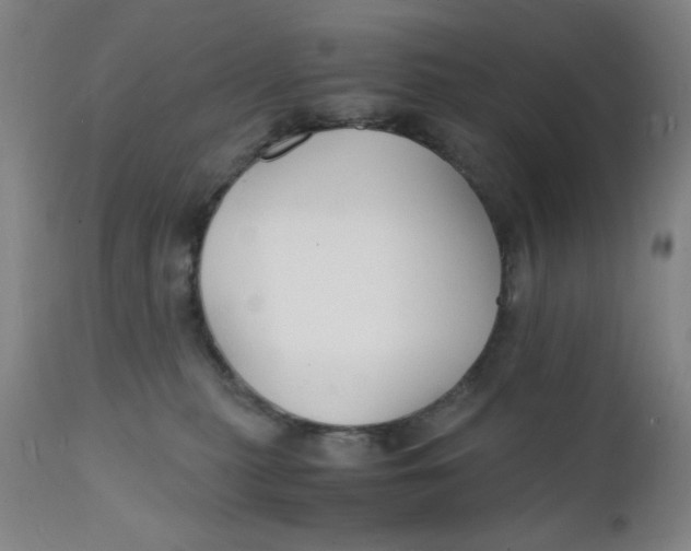 X0000112150279200909041110