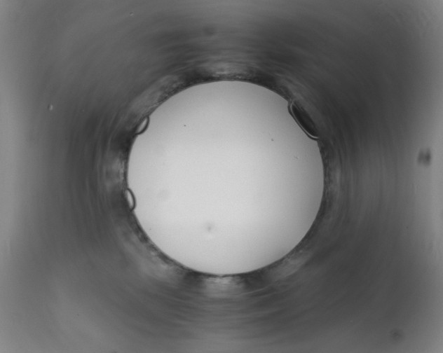 X0000112150281200909041110