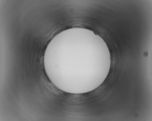 X0000112150282200909041110