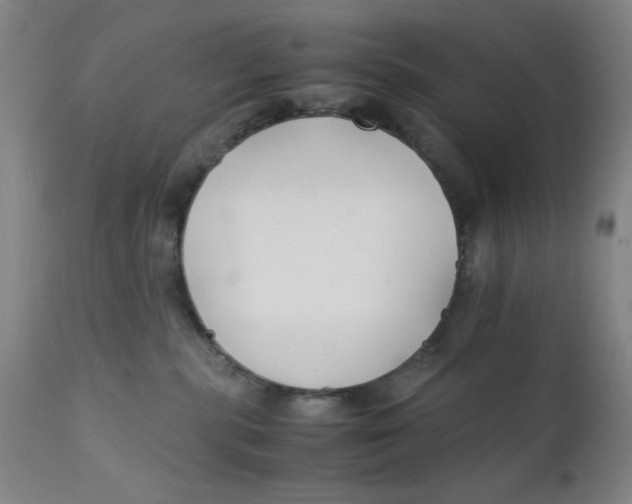 X0000112150283200909041110