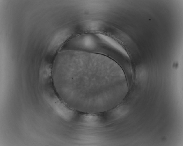 X0000112150284200909041110