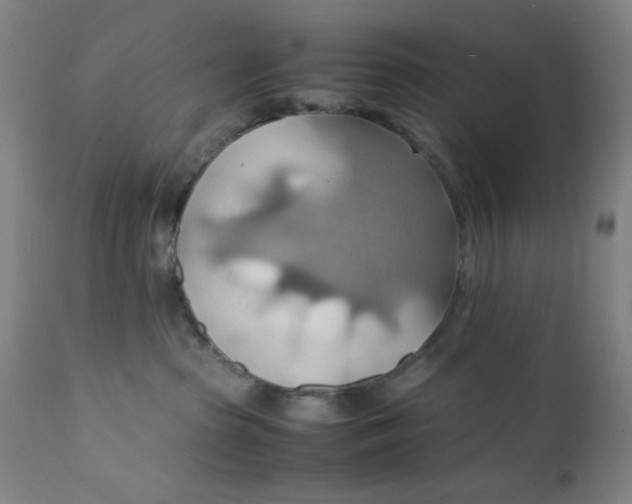 X0000112150285200909041110