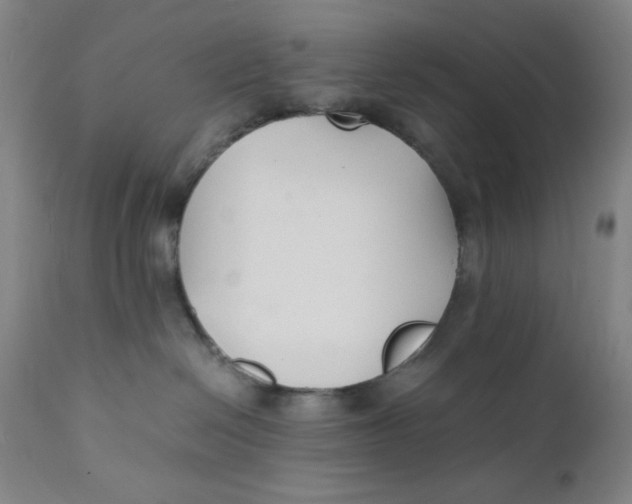 X0000112150286200909041110