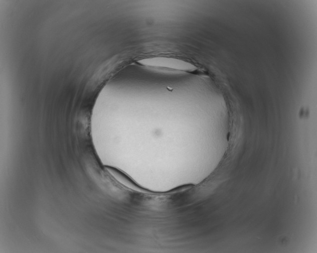 X0000112150288200909041110