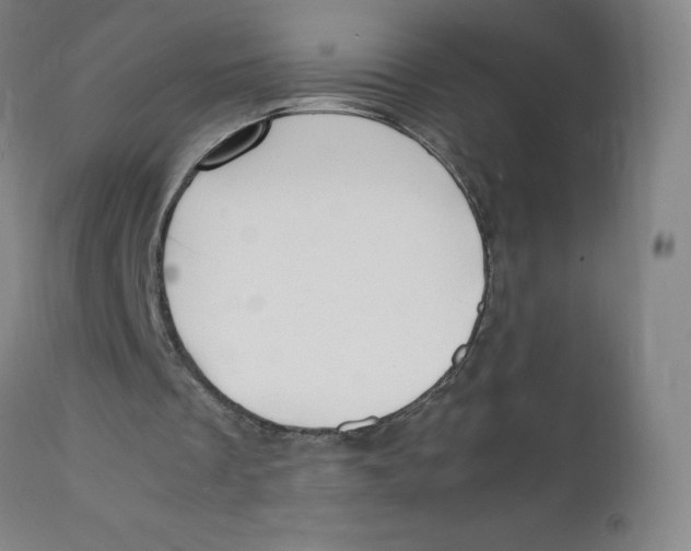 X0000112150289200909041110