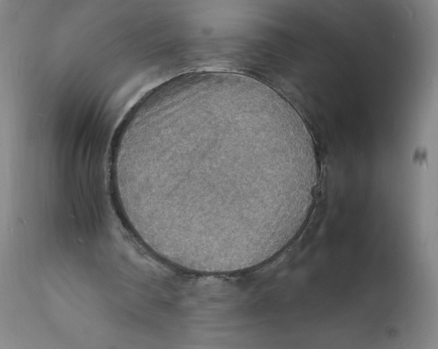 X0000112150290200909041110