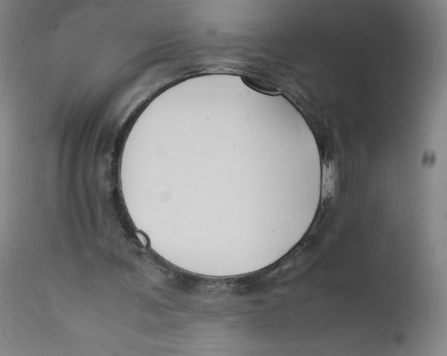 X0000112150291200909041110