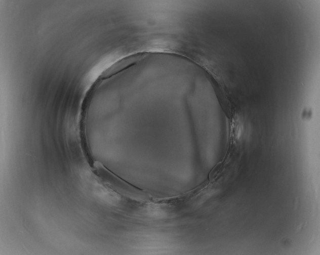 X0000112150292200909041110