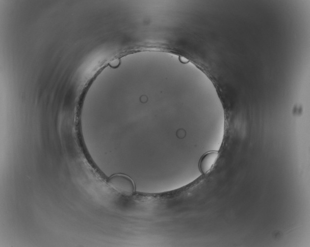 X0000112150293200909041110