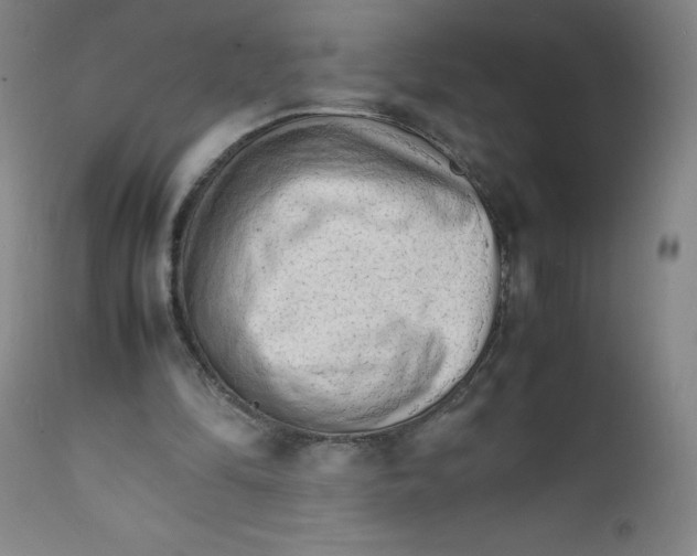 X0000112150294200909041110