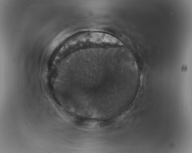 X0000112150295200909041110