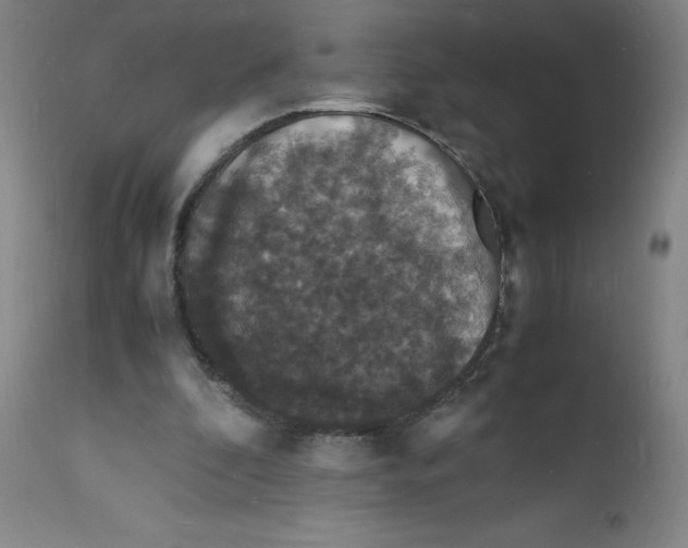 X0000112150296200909041110