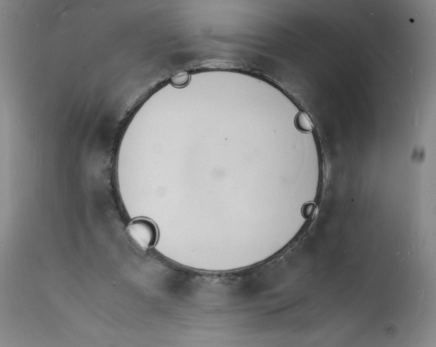 X0000112150297200909041110