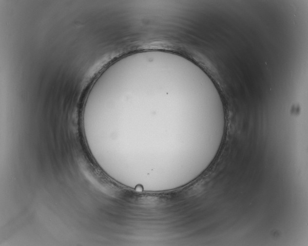 X0000112150298200909041110